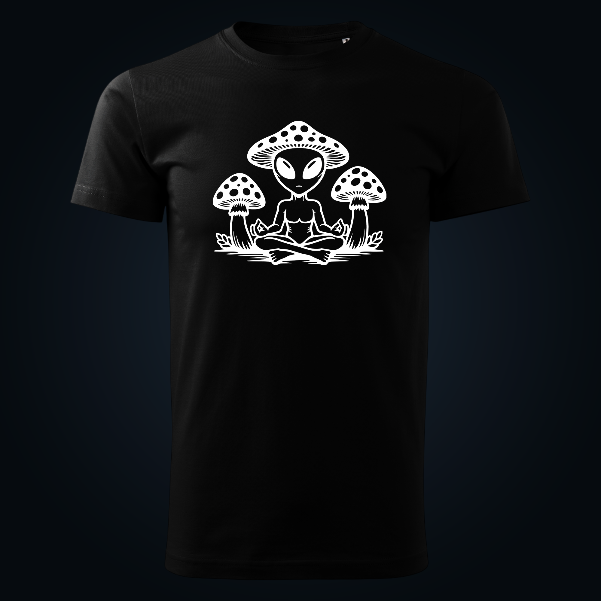 COSMIC SHAMAN - Image 2