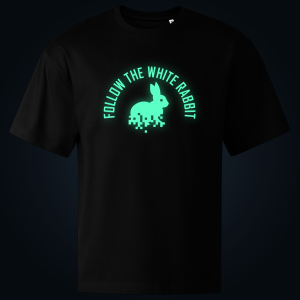 Follow the white rabbit oversized t-shirt