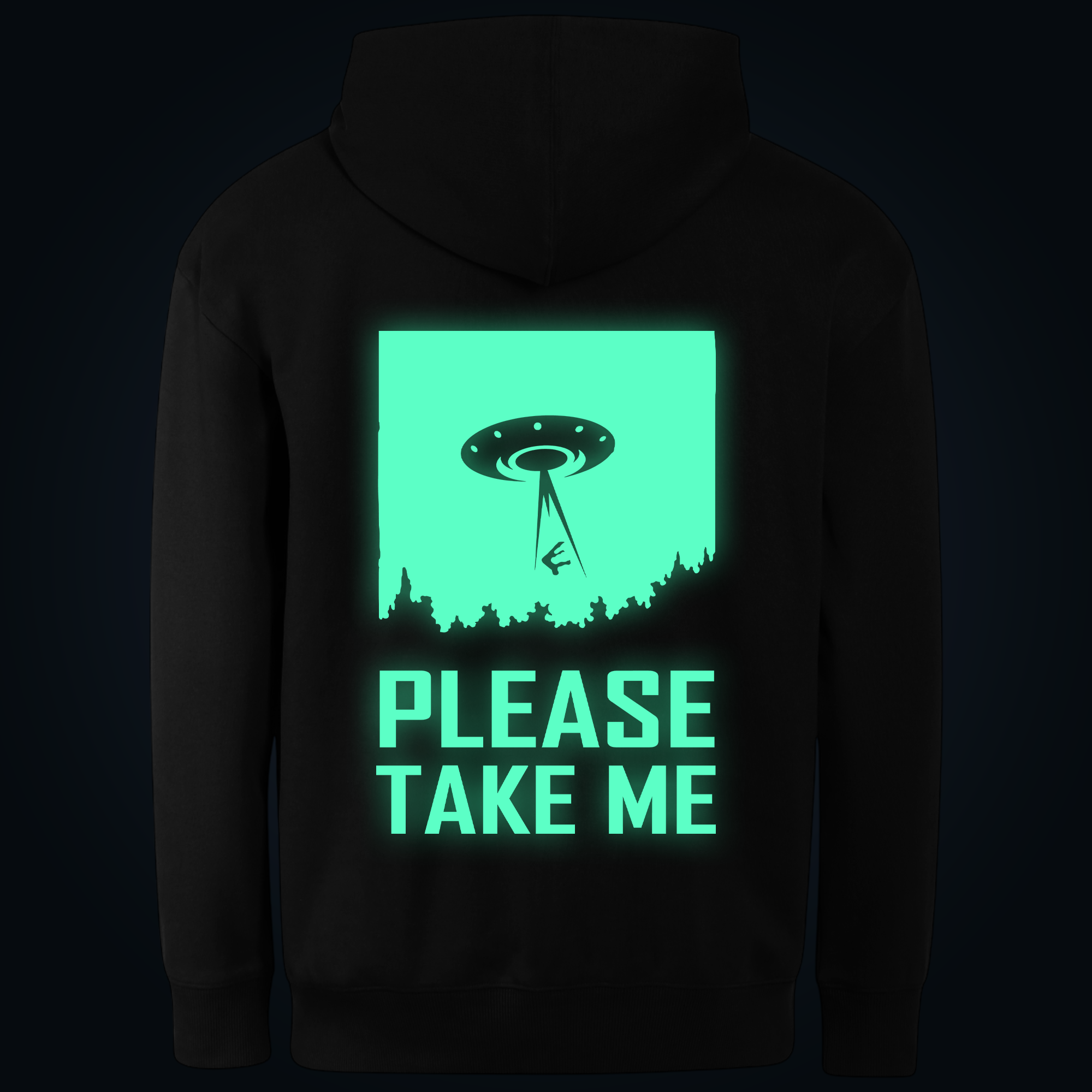 PLEASE TAKE ME hoodie back print