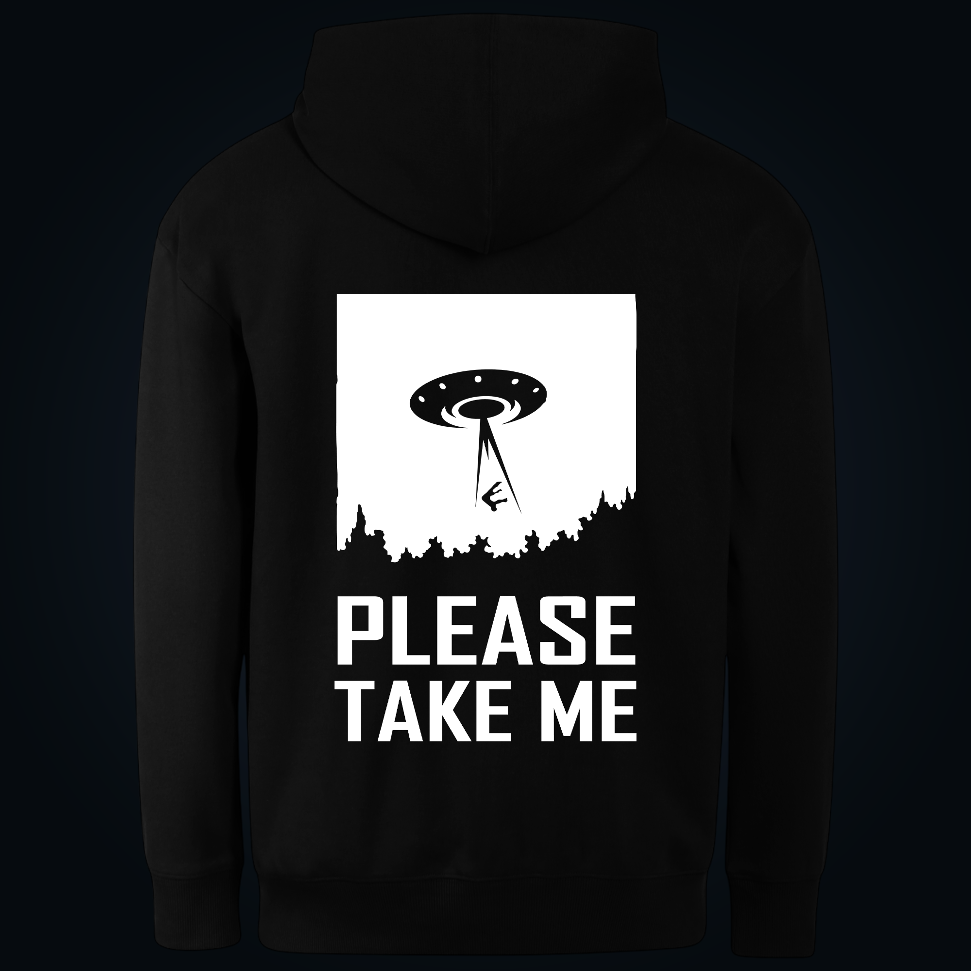 PLEASE TAKE ME hoodie back print - Image 2