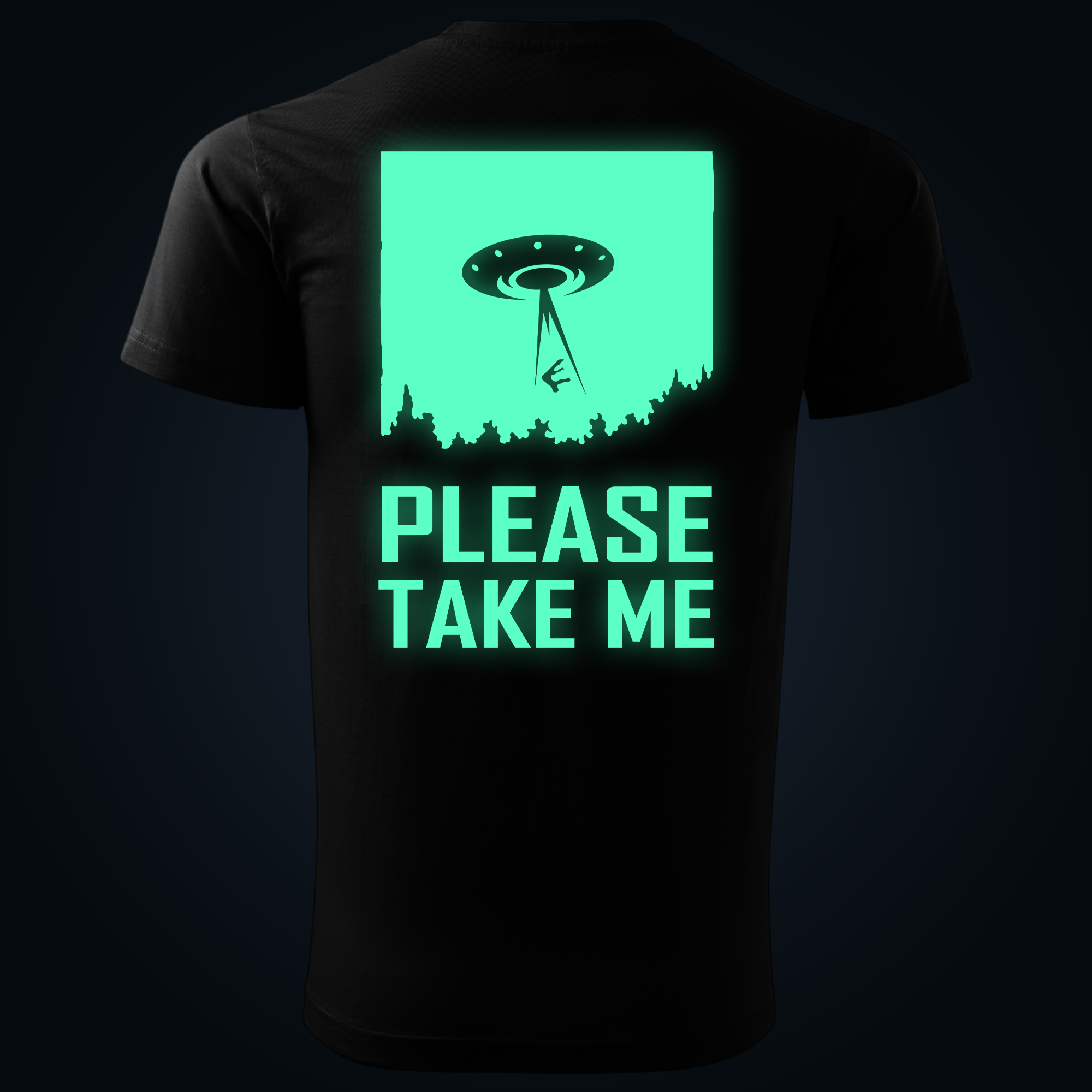 Please Take Me back print