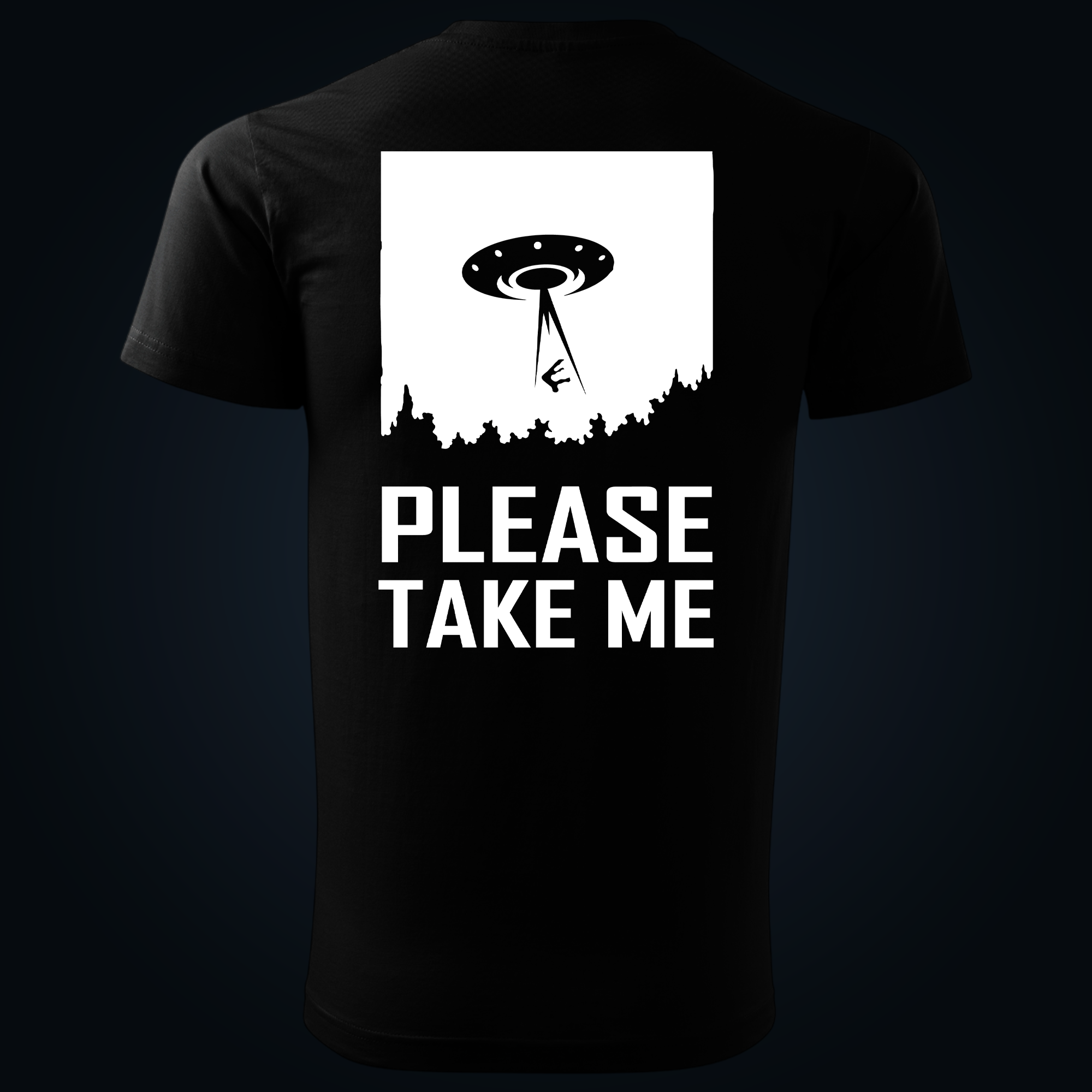 Please Take Me back print - Image 2