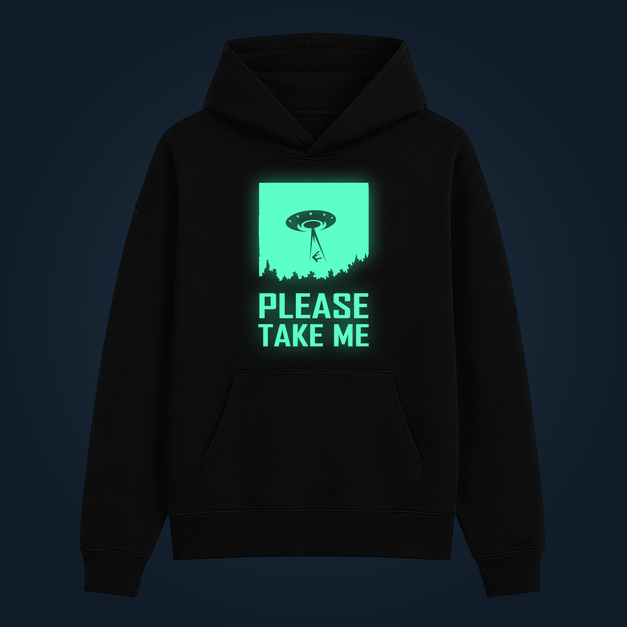 PLEASE TAKE ME hoodie