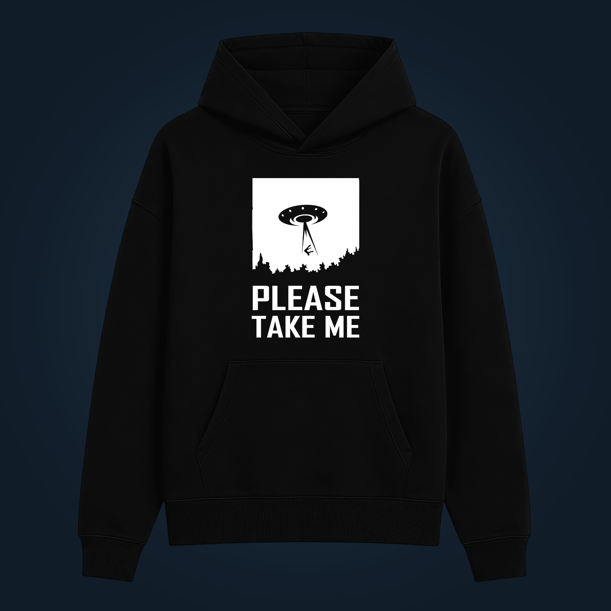 PLEASE TAKE ME hoodie - Image 2